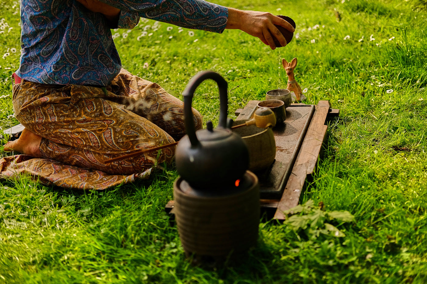 Tisanes Digestives : Quelle Infusion pour Faciliter la Digestion ?
