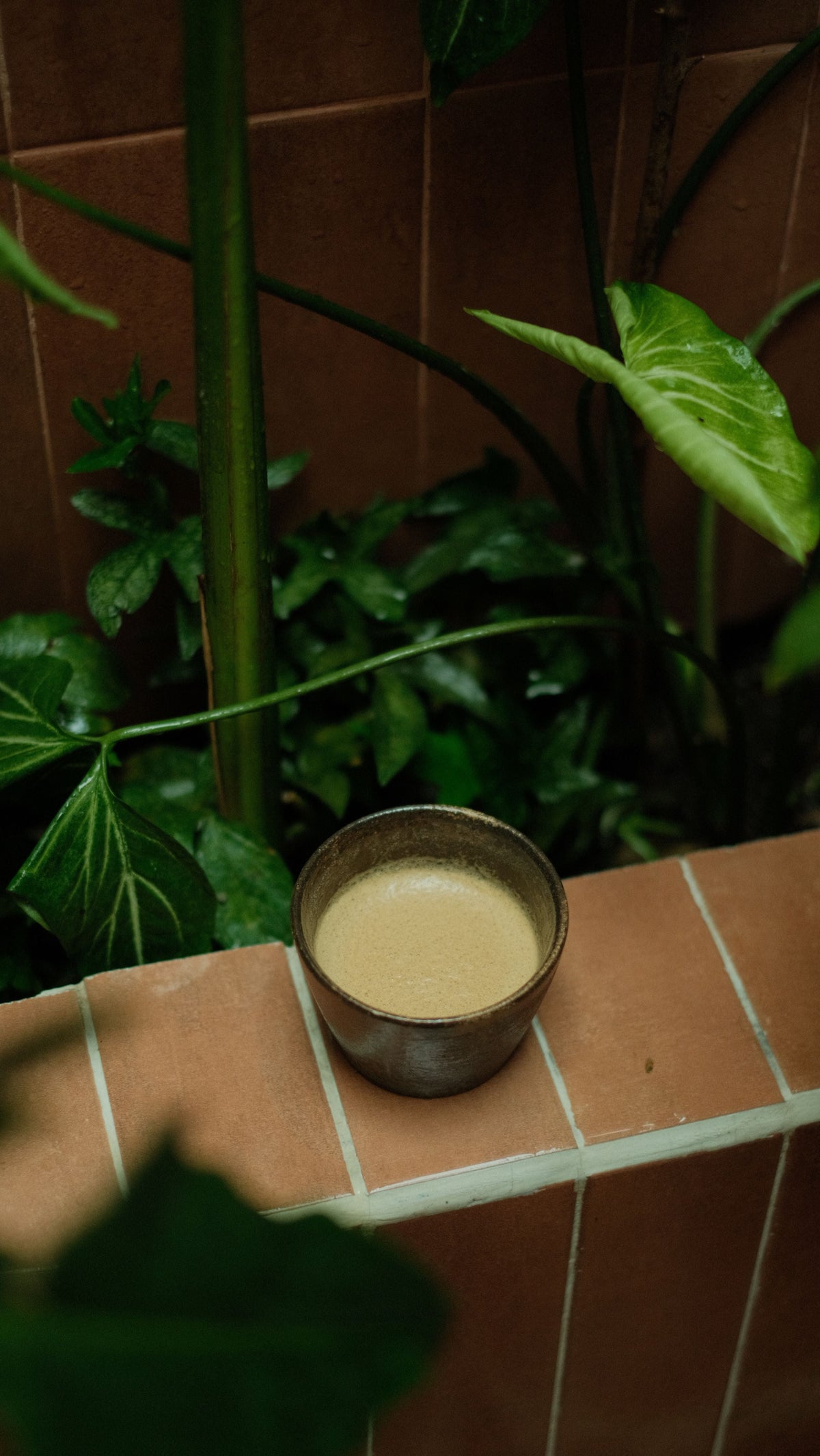 Hojicha latte : la recette du latte japonais au thé torréfié